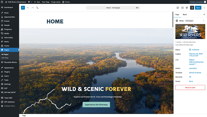 Wordpress editor's view for MHIF.